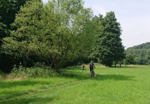 2020-07-19 TVR MTB Sommertour - Wiese 1