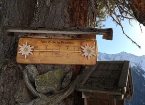 2022-02-18 Tanja im Schnee - 3